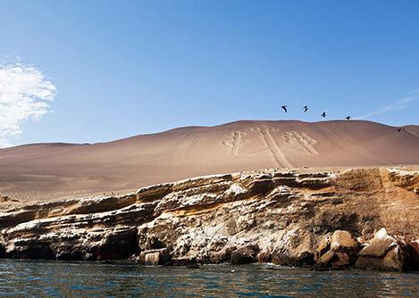 Birds flying over the Paracas Candelabra, a mysterious geoglyph carved into the Peruvian coast.