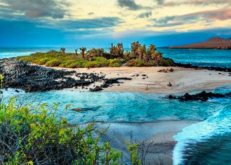 Waves rolling into an island in the Galapagos featuring a beach and a small forested area.