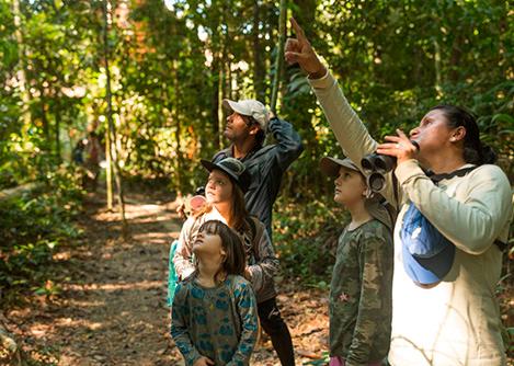 A group of visitors observing wildlife in the trees of the Peruvian Amazon Rainforest.