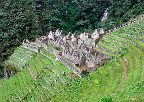 Stone buildings surrounded by numerous agricultural terraces at Wiñay Wayna on the Inca Trail.