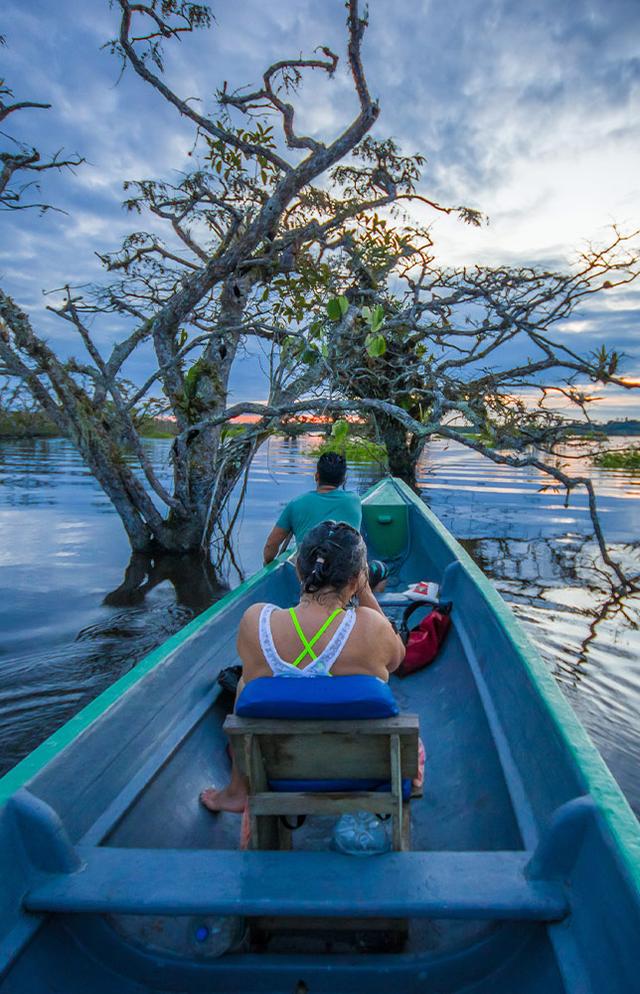 Best Luxury Amazon Rainforest Tours & Trips For 2024/2025