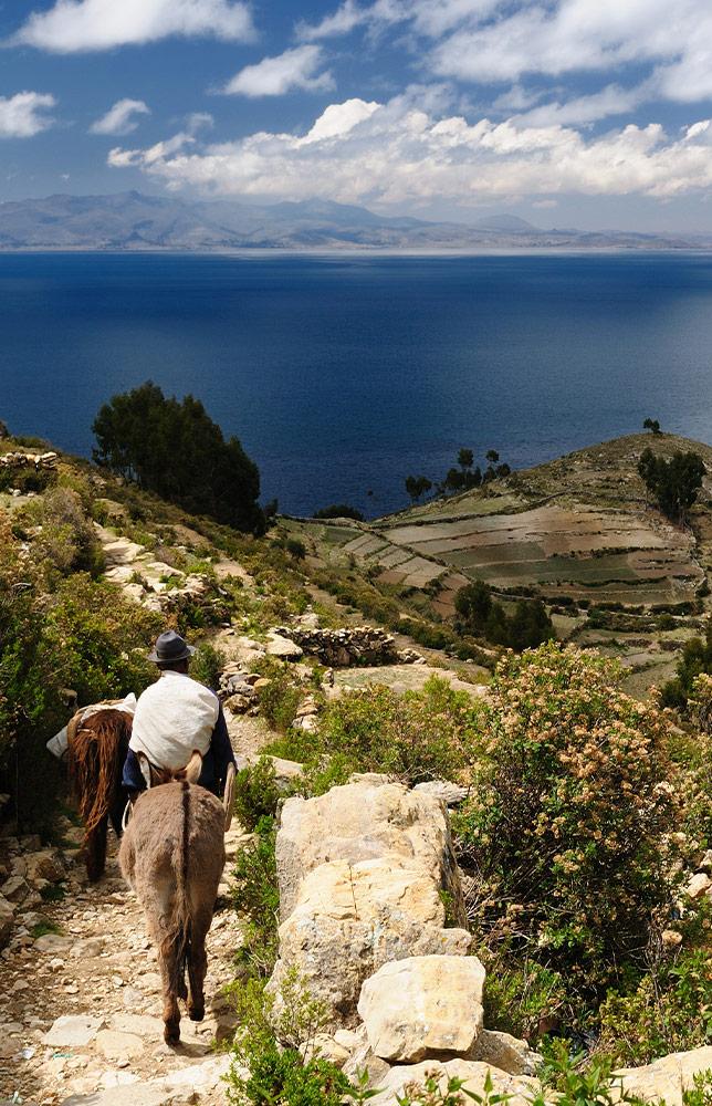 Mystic Amazon & Andes