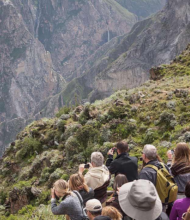 A crowd of visitors at a lookout point in Colca Canyon trying to spot Andean condors.