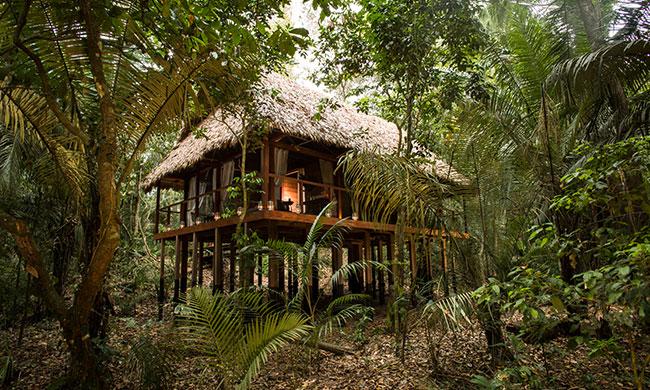 amazon forest tour package from india