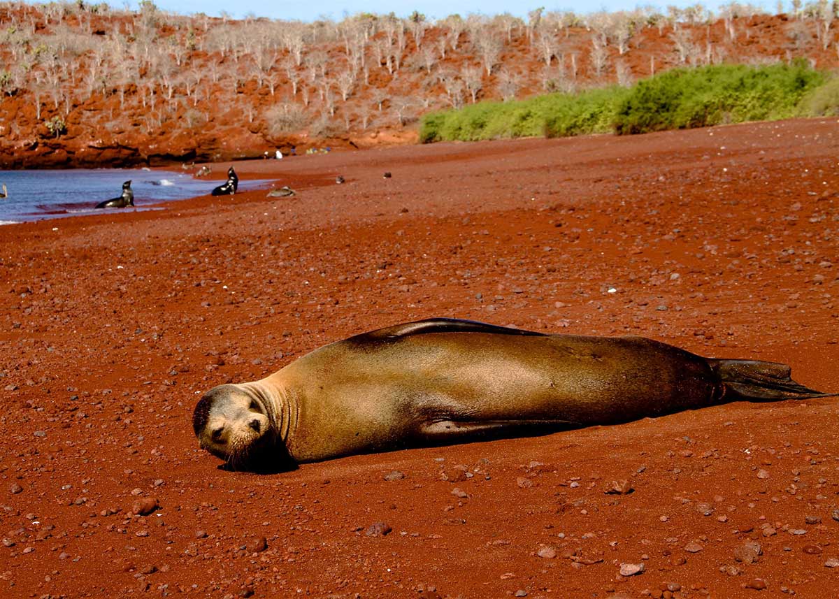 galapagos islands which islands to visit