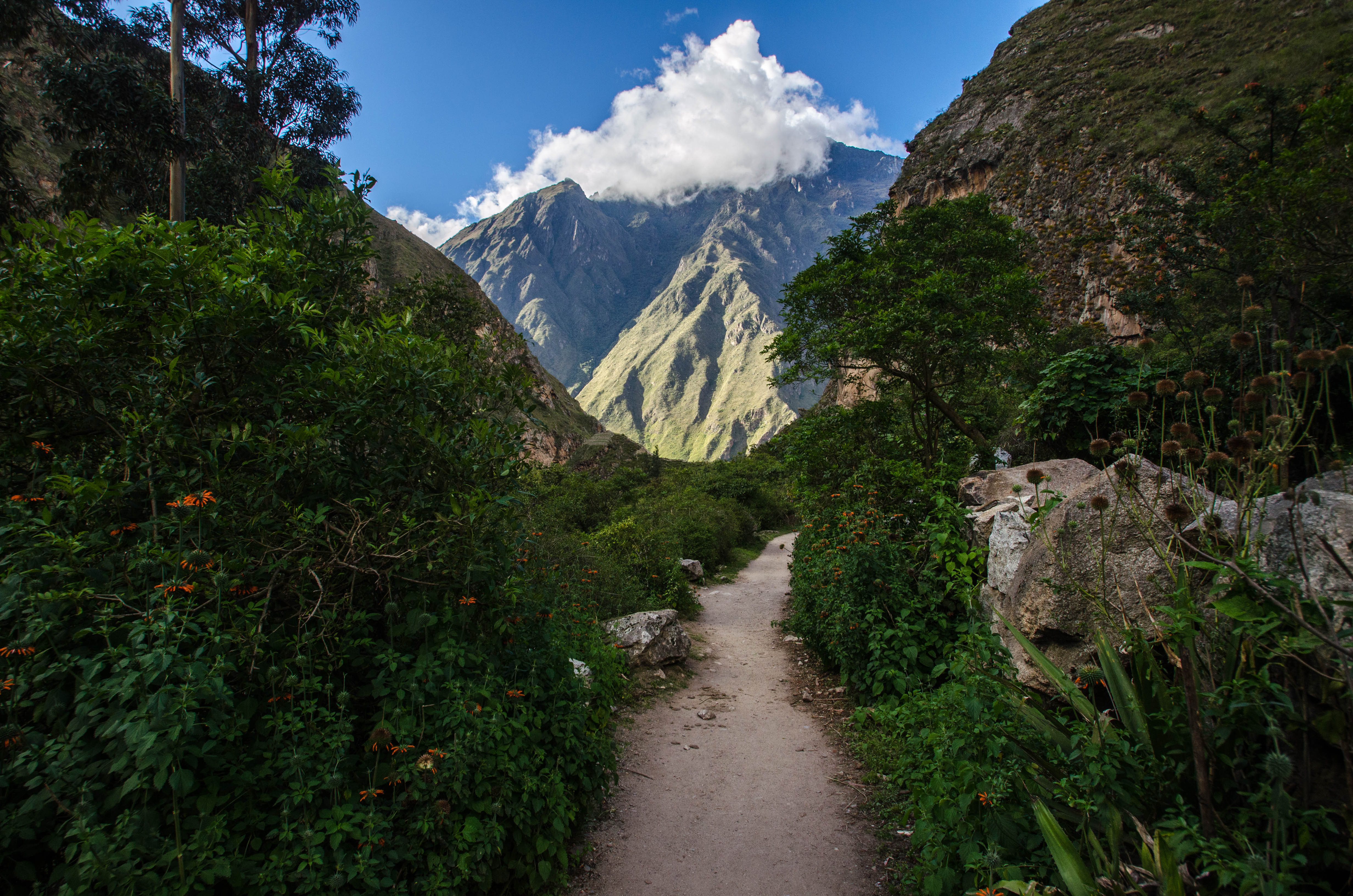 Inca Trail with views of green mountain peaks