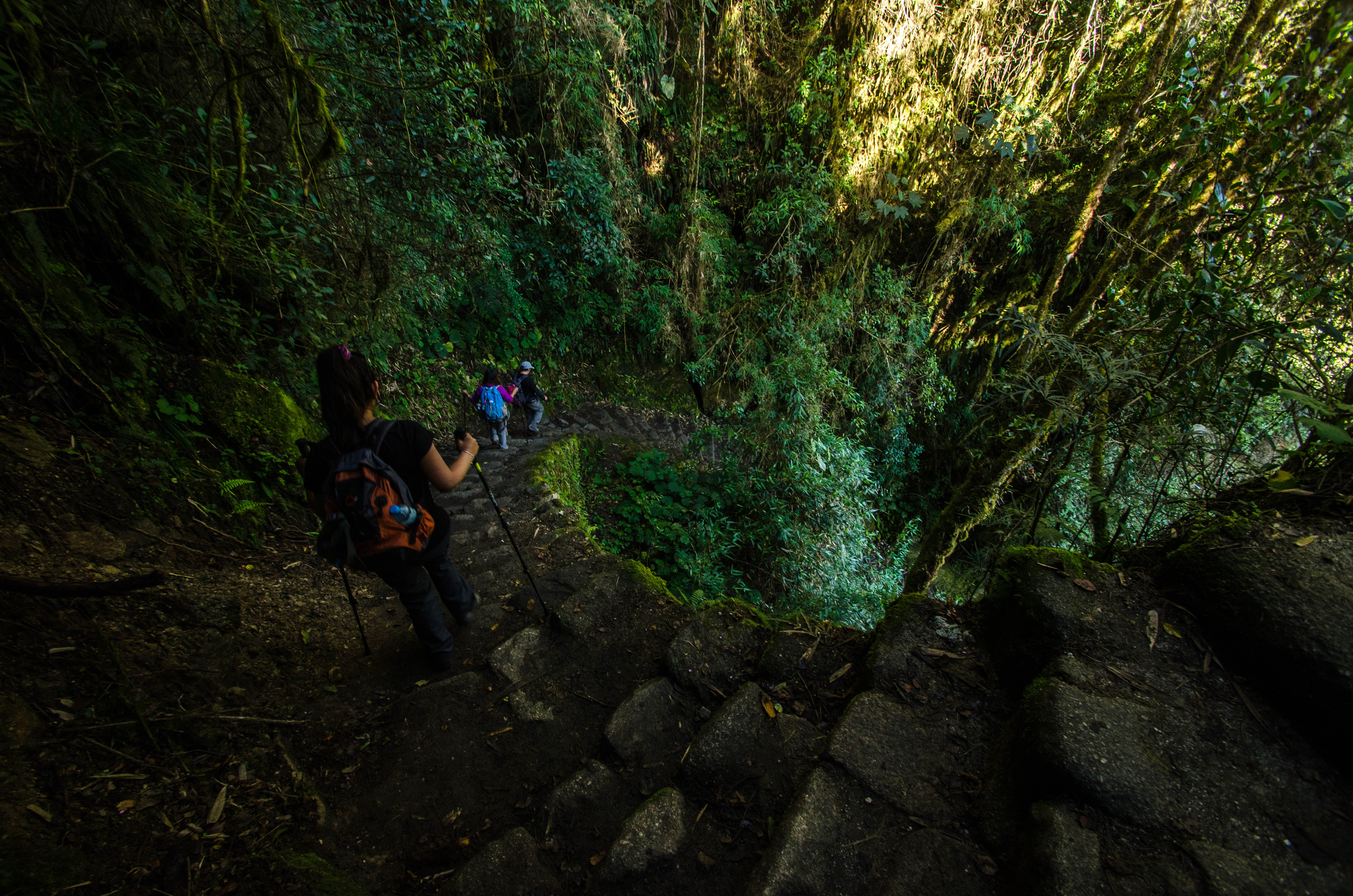 Inca Trail stone path