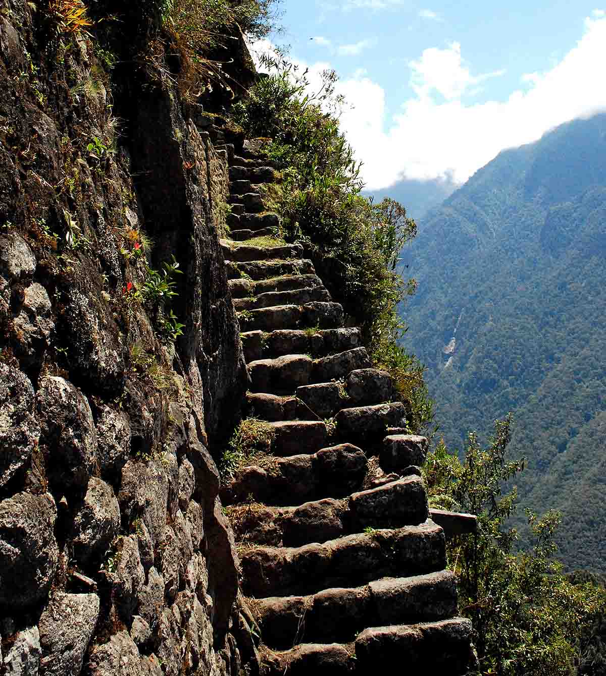 Very steep and uneven steps lead toward the top of Huayna Picchu. To the right is a sharp drop-off into the abyss.